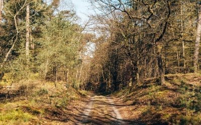 Trage Tocht Leuvenum 