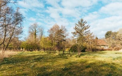 Vogelboulevardroute bij Rockanje 