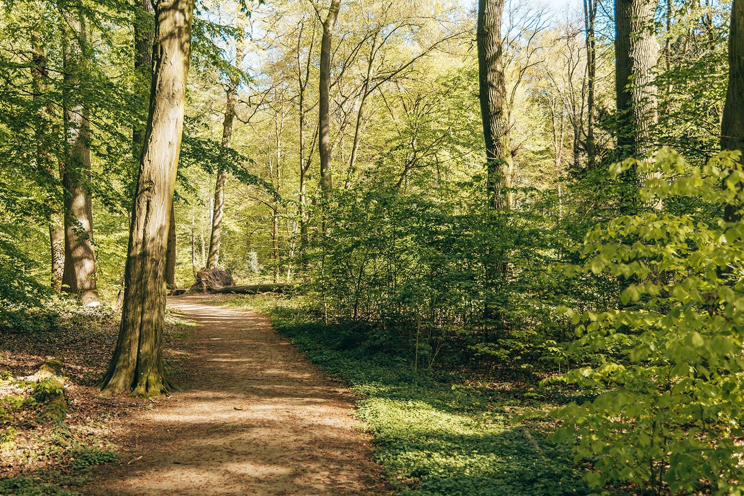 slangenburg