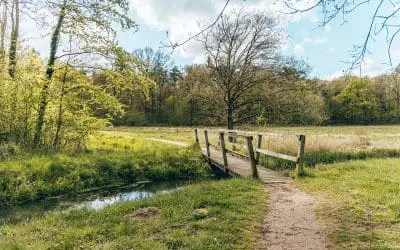 Knopenrondje Landgoed Slangenburg