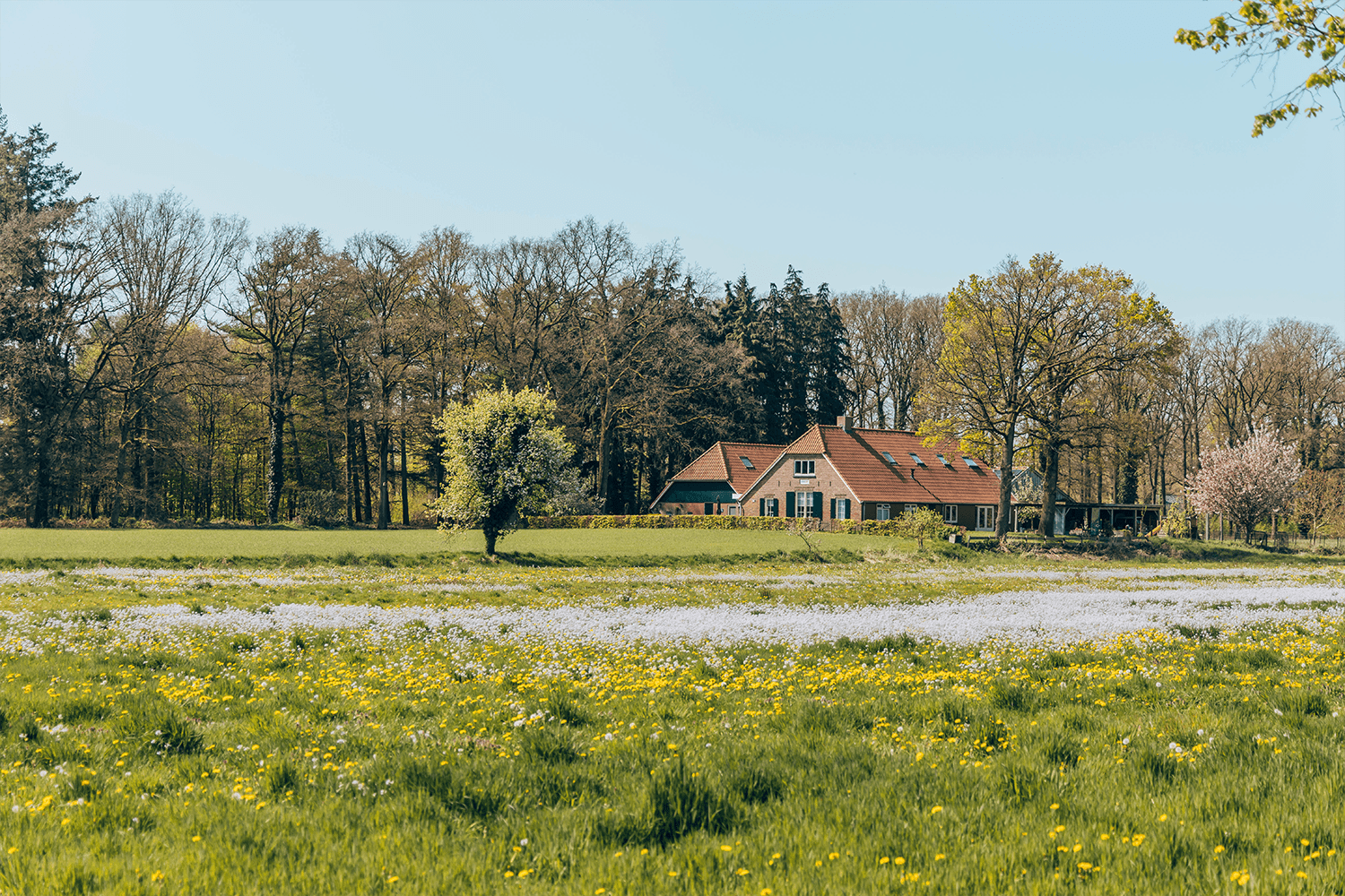 Beekvliet