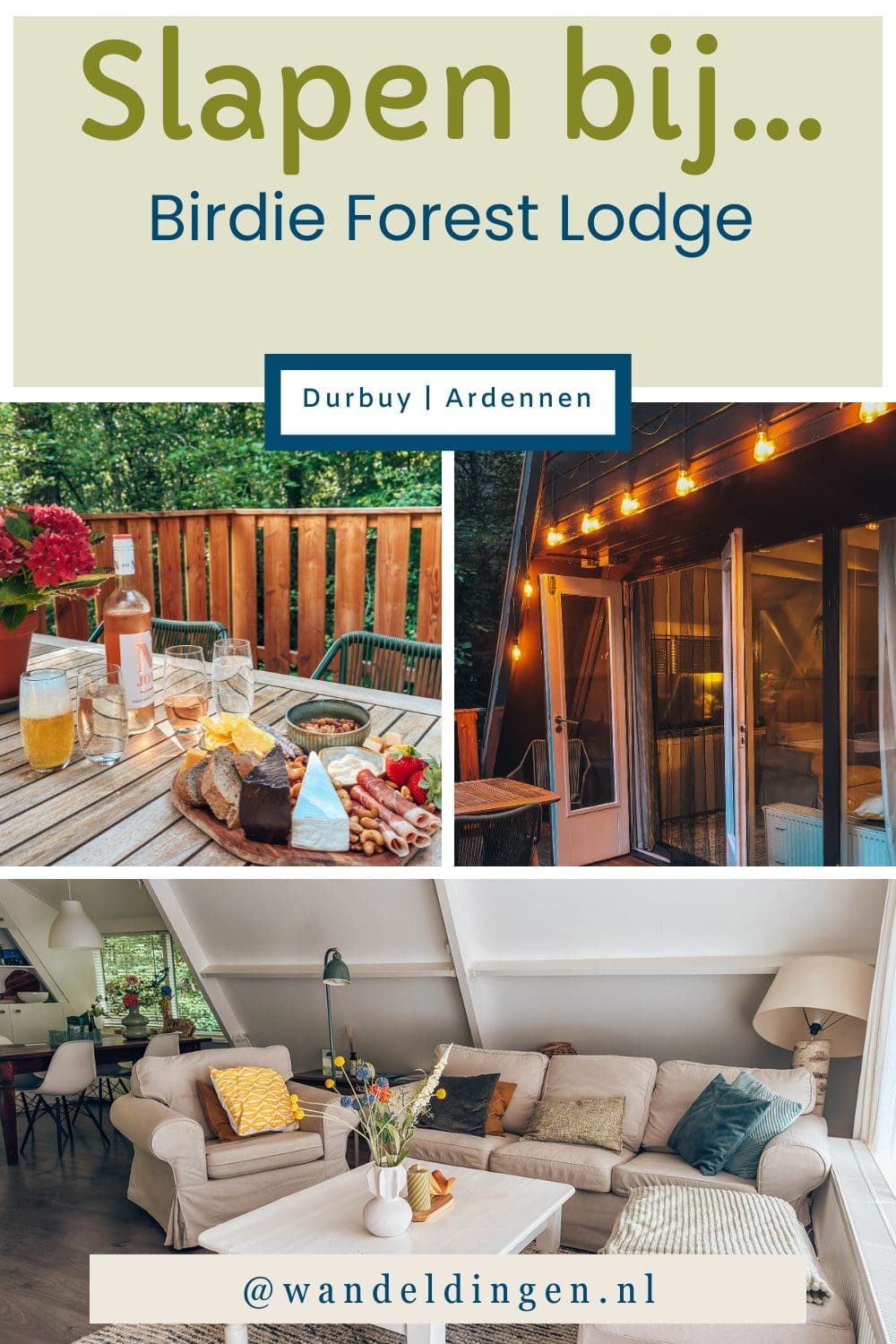 birdie forest lodge