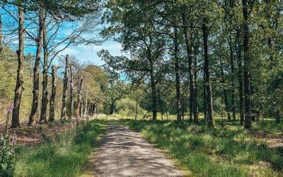 Blauwe wandelroute Landgoed Stippelberg
